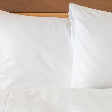 Sure By Western Centre Hotel 4*